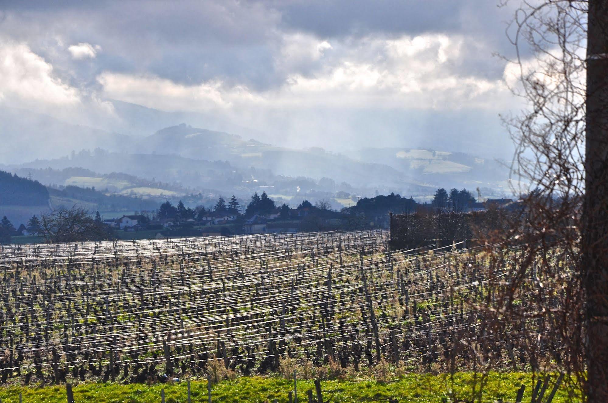 Le Clos Du Cher En Beaujolais Saint-Germain-Nuelles Zewnętrze zdjęcie