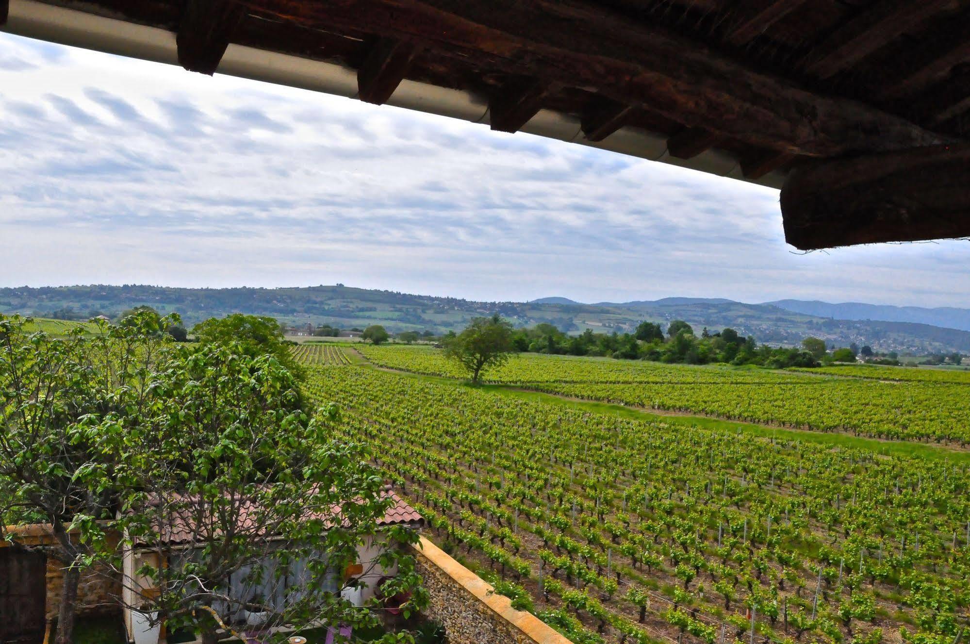Le Clos Du Cher En Beaujolais Saint-Germain-Nuelles Zewnętrze zdjęcie