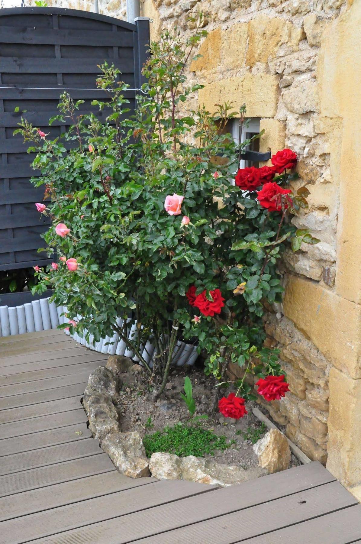 Le Clos Du Cher En Beaujolais Saint-Germain-Nuelles Zewnętrze zdjęcie