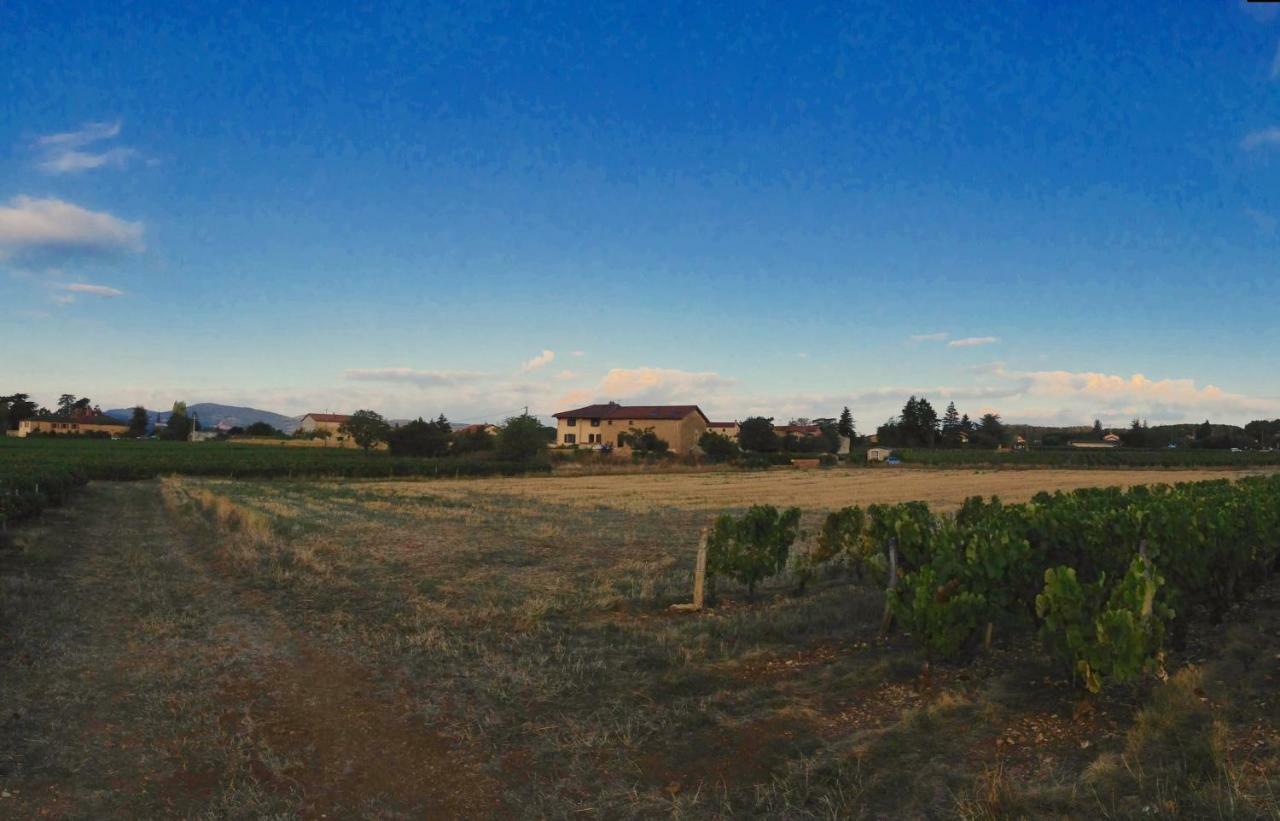 Le Clos Du Cher En Beaujolais Saint-Germain-Nuelles Zewnętrze zdjęcie