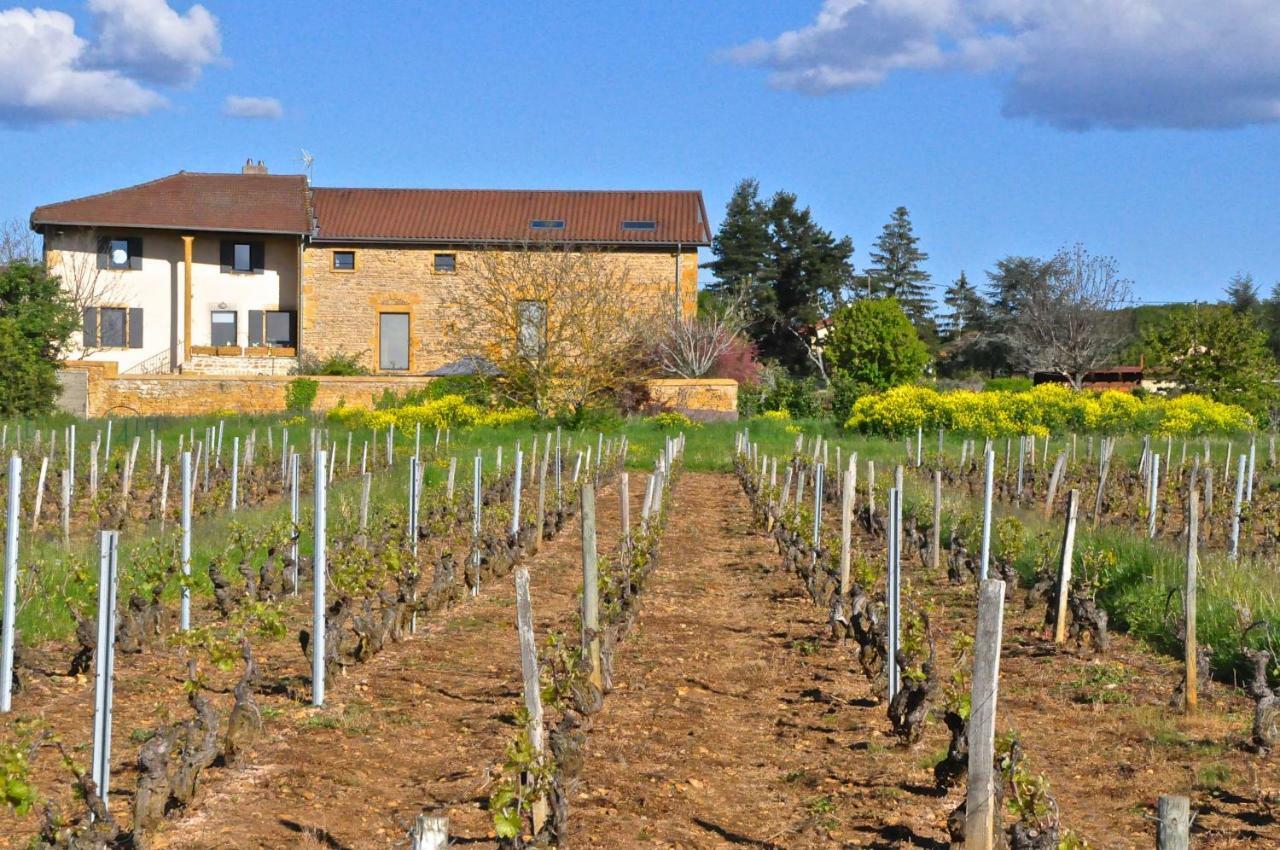 Le Clos Du Cher En Beaujolais Saint-Germain-Nuelles Zewnętrze zdjęcie